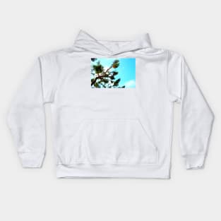 Curved sea pine branch with cones and the azure sky in the background Kids Hoodie